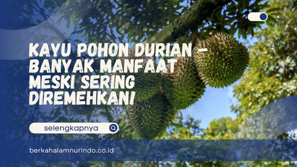 Kayu Pohon Durian
