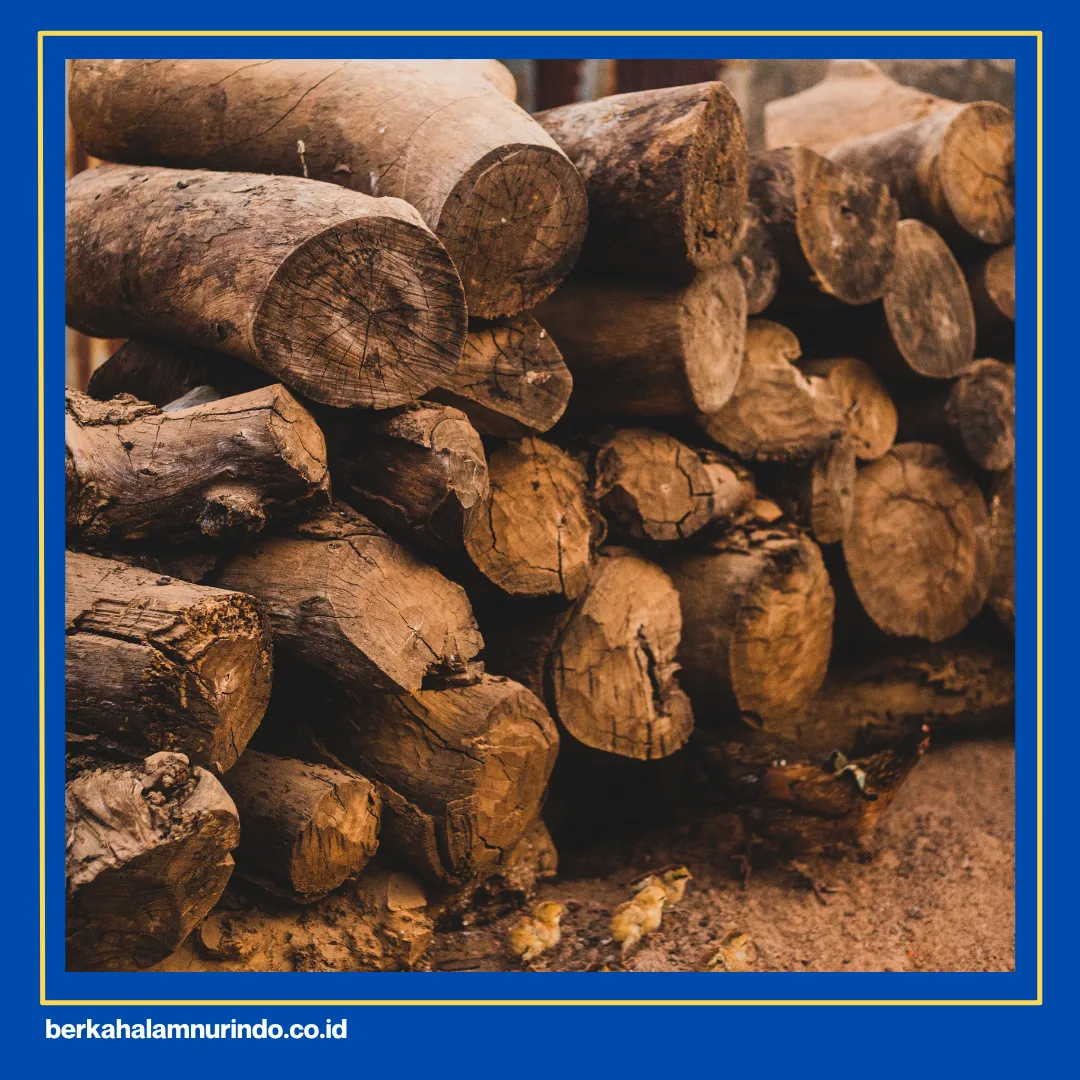 Kayu Racuk