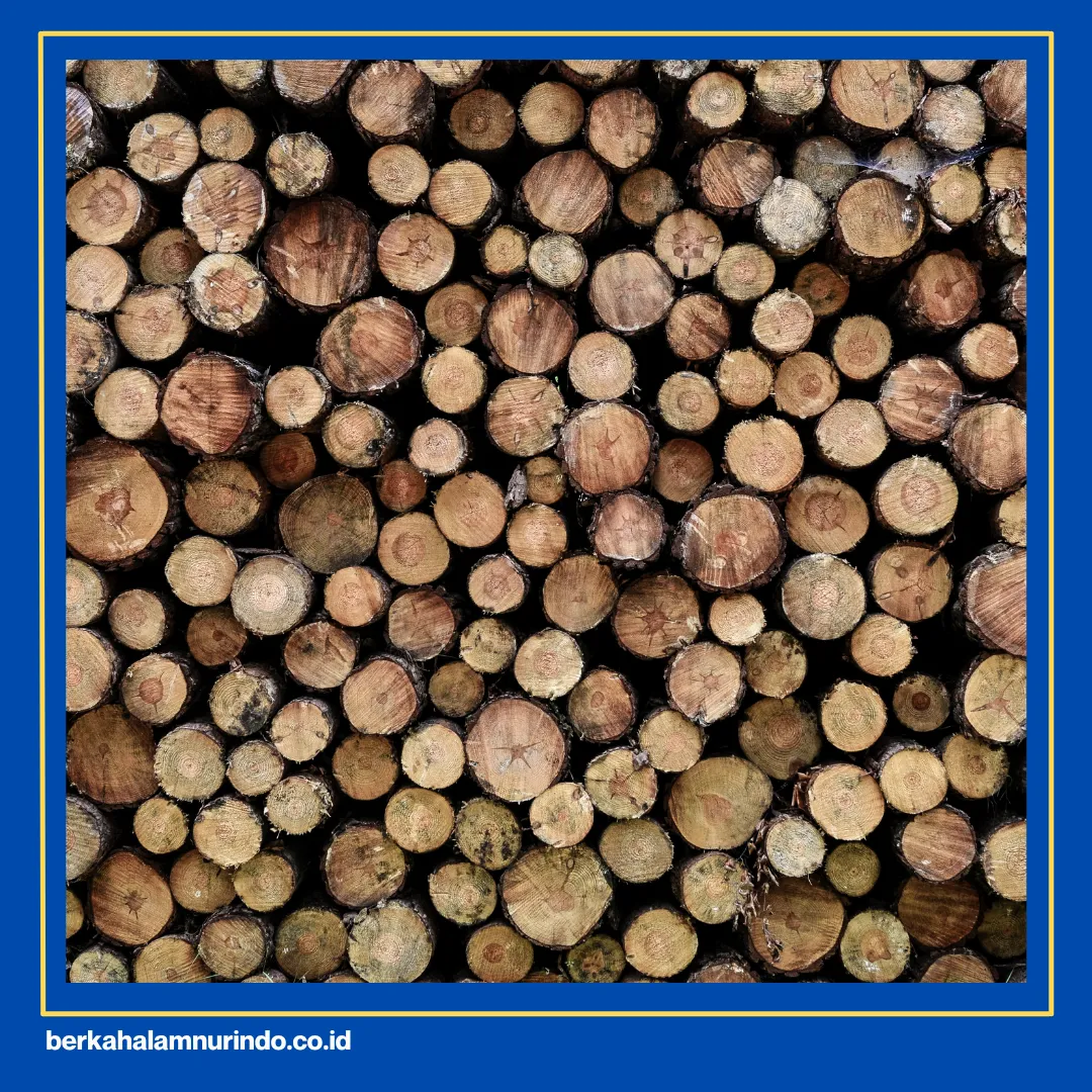 harga kayu dolken