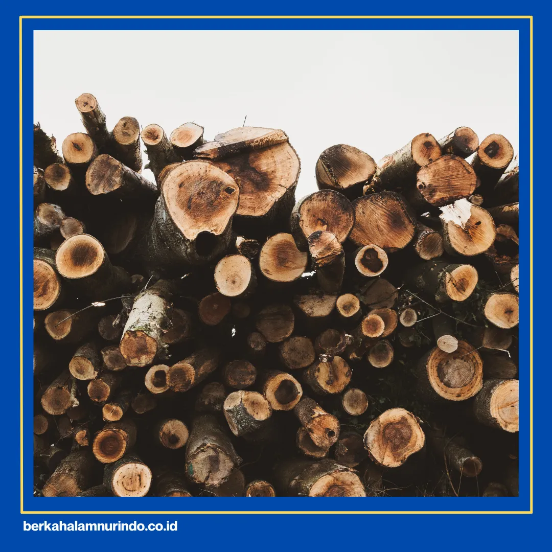 jual kayu dolken