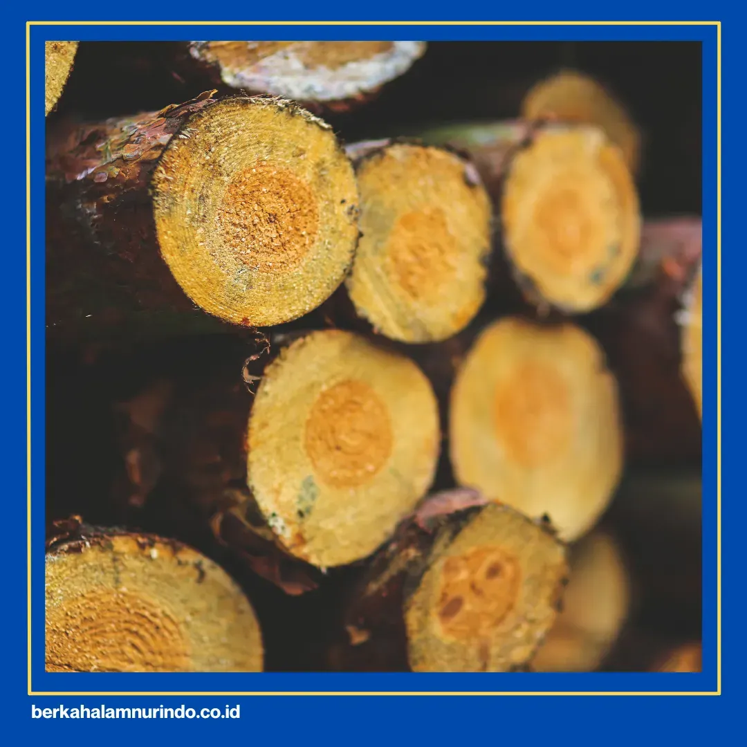 kayu tembalun