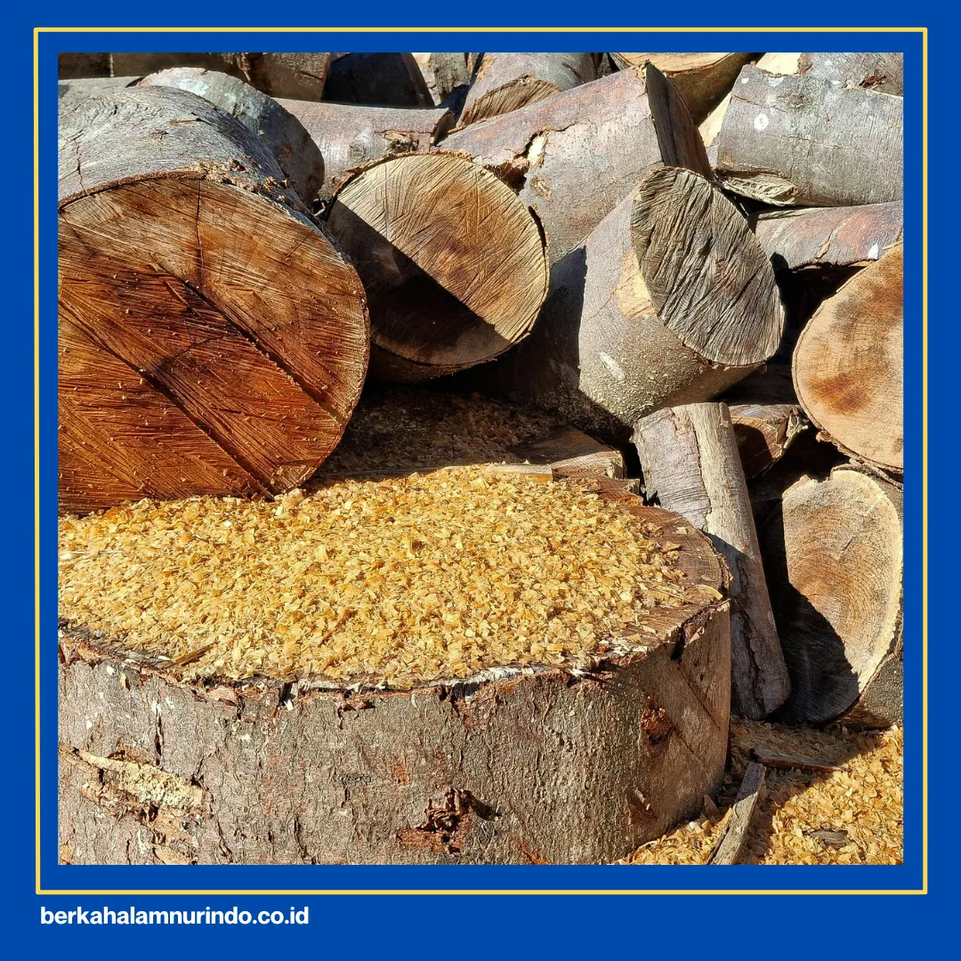cara membuat briket dari serbuk kayu