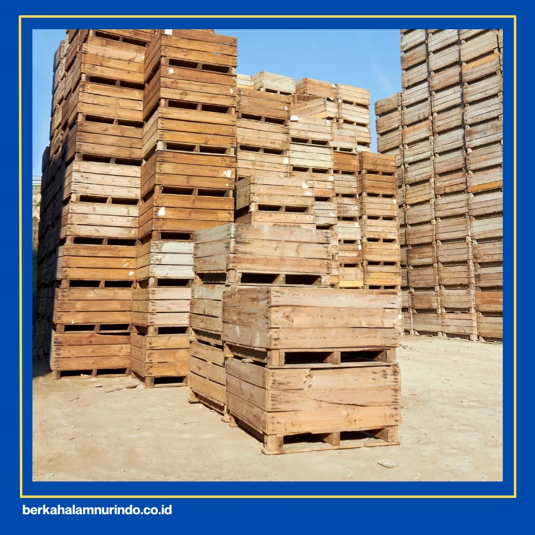 Jual kayu durian