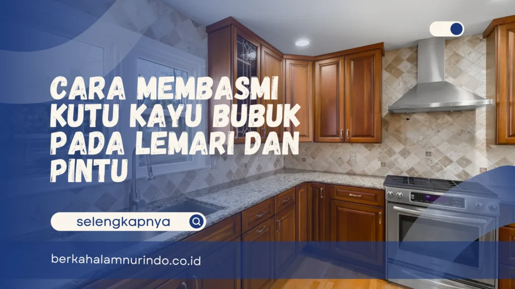 cara membasmi kutu kayu