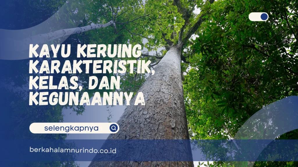 kayu keruing