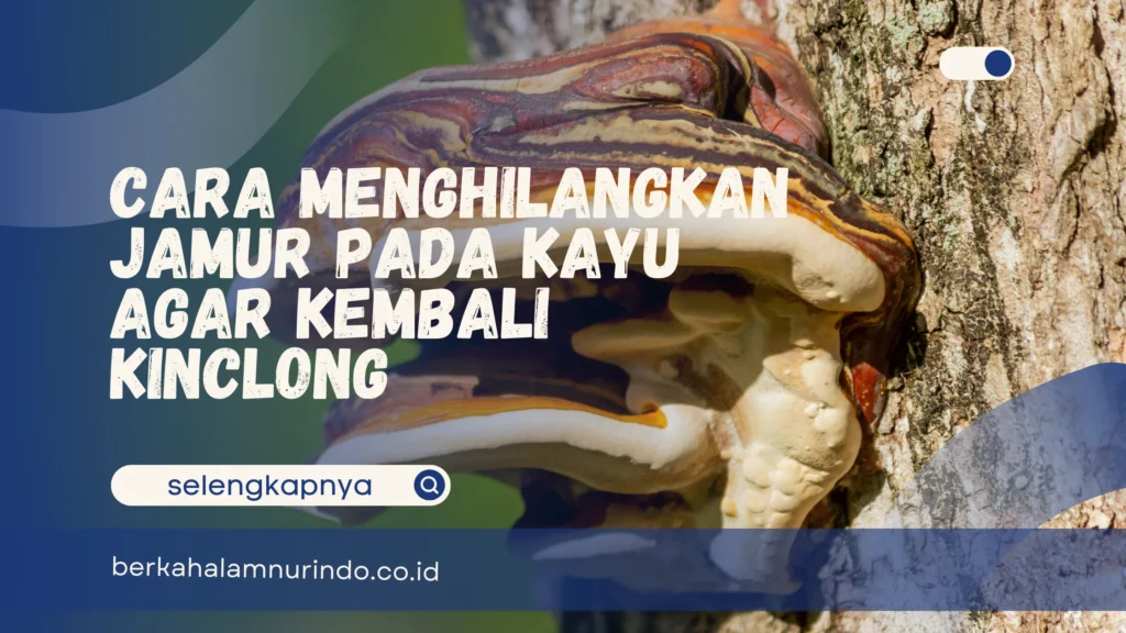 cara menghilangkan jamur pada kayu