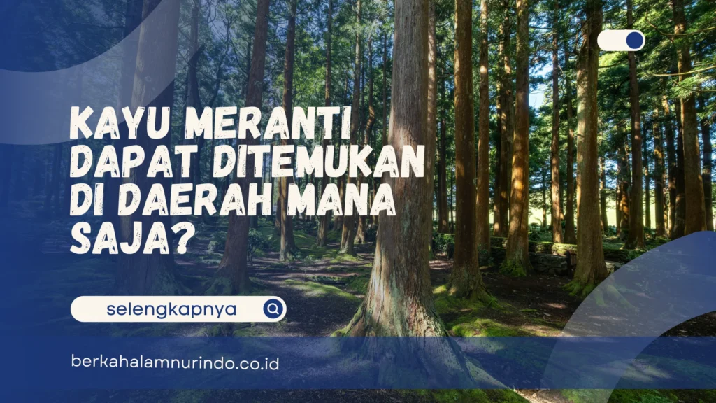 kayu meranti dapat ditemukan di daerah