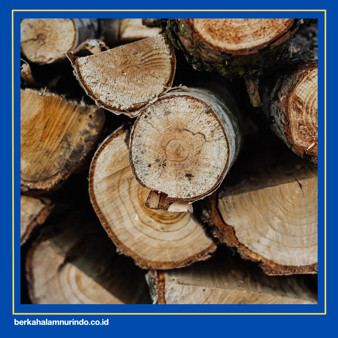 Jual Kayu Kempas