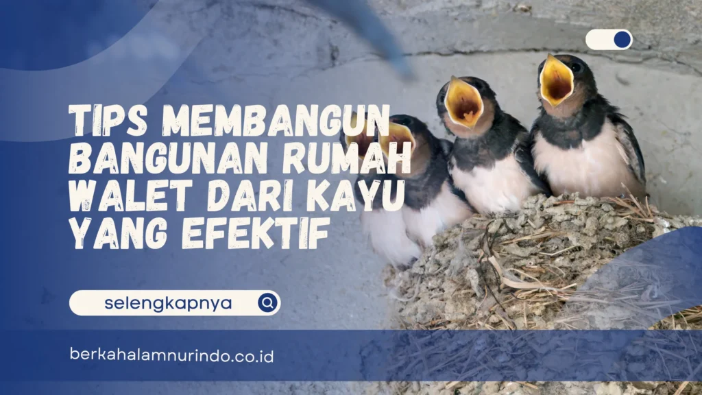 Bangunan rumah walet dari kayu